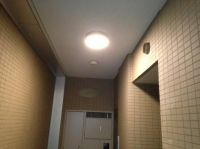 BRANZ �ܺ��� ���󥶥ƥ饹 �� /�����Ե�����