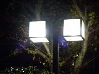 ��ߥ���������µ���� �� /�����ո�µ������