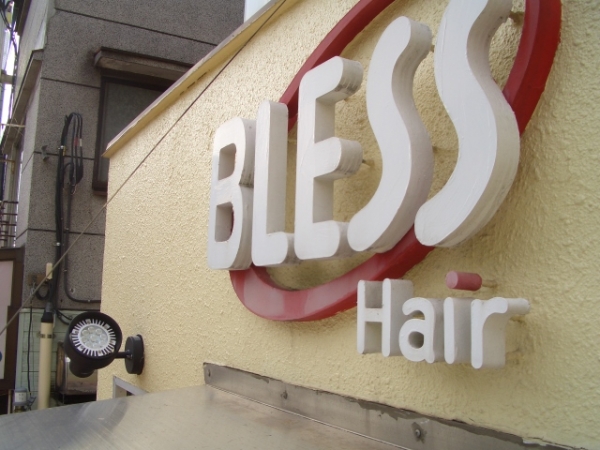 BLESS Hair  / Է