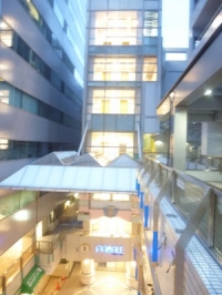 �ѥ졼����� �� / ��������