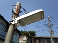 R �� /�����ո������